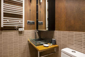 Corner of a small bathroom with a glass sink on a wooden countertop, a dark cabinet with a mirror door and a white electric towel radiator
