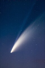 Comet Neowise shinning in the night sky