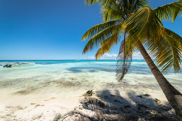 Fototapeta na wymiar Boat and tropical beach in caribbean sea, Saona island, Dominican Republic