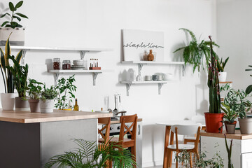 Interior of light kitchen with green houseplants and shelves