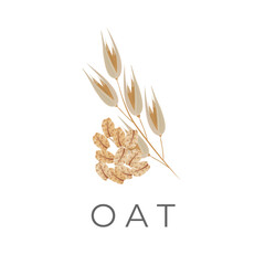 Natural Healthy Oat Flakes Simple Logo
