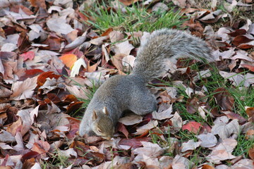 Photos Taken in Philadelphia