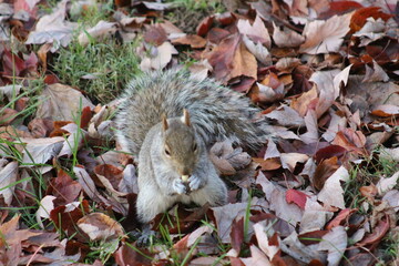 Photos Taken in Philadelphia