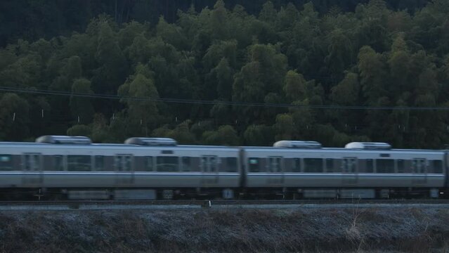 春の朝を走る223系新快速列車（東海道本線 安土 - 能登川, 2023年3月）