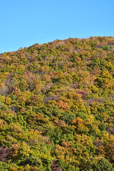 紅葉した山と青空