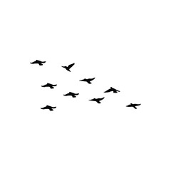 flock of birds in flight. Vector illustration.
