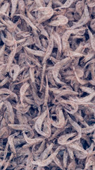 Plenty of dry shrimp background market for sell. Close-up pile texture detail bright light pink pale tone. Vertical format banner wallpaper cute