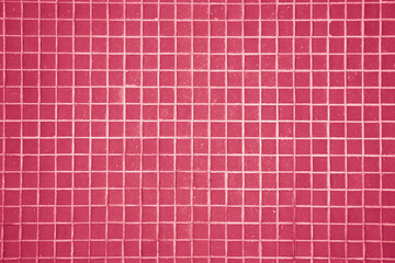 The texture of the mosaic small square tiles, wall toned in Viva Magenta color