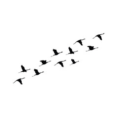 flock of birds migration silhouette. vector illustration