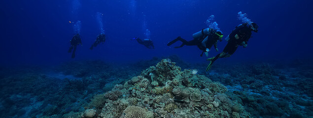 Fototapeta group of divers depth bubbles dive obraz