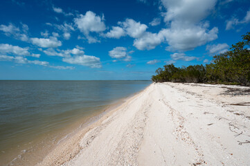 Fototapeta na wymiar Beach at Middle Cape Sable and Gulf of Mexico in Everglades National Park, Florida on sunny February day.