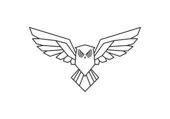 owl geometri