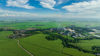 Aerial view of sugarcane plantations in the tropics. Negros, Philippines