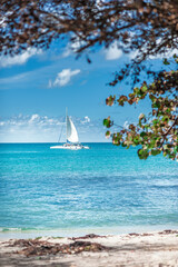sailboat on the sea