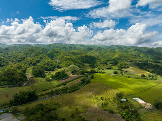 Obraz premium Farmland on the slopes of hills in the mountainous region view from above. Negros, Philippines