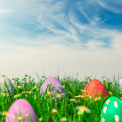 Fototapeta premium Beautiful Easter eggs in a grassy field, with a blue sky and clouds