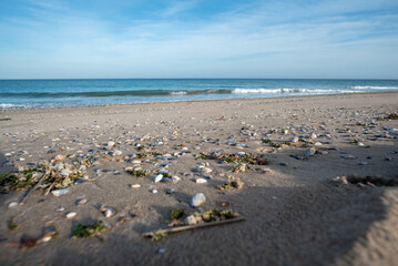 beach in the winter
