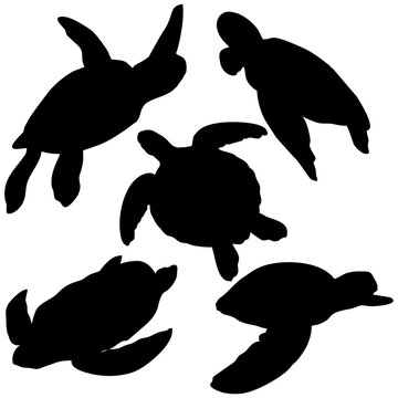 turtle silhouette group