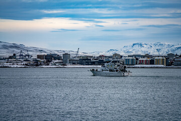 reykjavik arctic harbour - obrazy, fototapety, plakaty