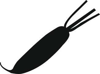 Obraz premium Daikon radish vector icon. Simple editable eps vector usable for web and print items.