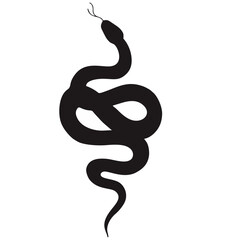 Fototapeta premium silhouette snake
