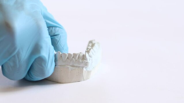 A dentist picks up and then places down a dental impression, for making invisible braces, bruxism, or dentures, with his hand in a blue medical glove. White background.