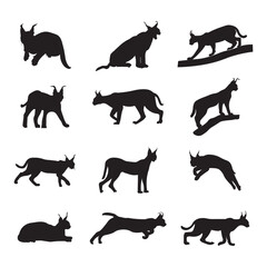 Set caracal cat silhouette vector illustration.