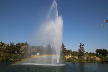 fountain in the park