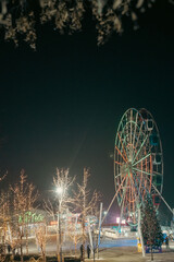 ferris wheel in the night