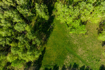 Beautiful green forest with an amateur football field, view from a great height