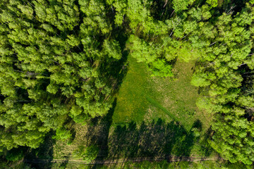 Beautiful green forest with an amateur football field, view from a great height