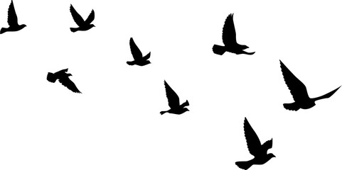 Black vector flying birds flock silhouettes isolated on white background. symbol tattoo design graphic.