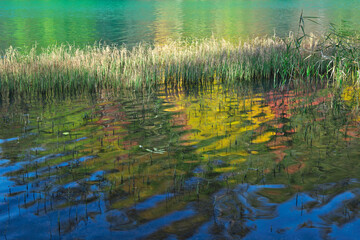 オンネトーの紅葉（足寄町）