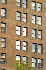 Fototapeta premium Brick building facade in late afternoon shade and visible rows of windows with reflective glass in the downtown city