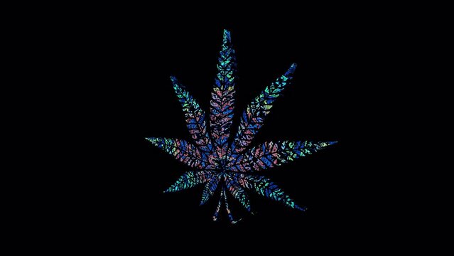 3D animation 420 weed day party vj loop background trippy Marijuana leaf rotating 4k psychedelic texture