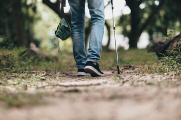 Hikers use trekking pole with backpacks and hold tent bag walking through the forest. hiking and adventure concept.