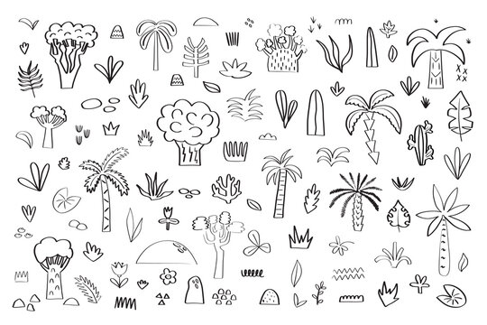 Hand drawn tropical palms and leaf, black line silhouette exotic plants hawaii natura, engraving vector beach landscape set