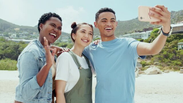 Peace sign, selfie and smile with friends at beach for bonding, summer break and social media post. Happy, community and support with group of people in nature for picture, vacation and technology