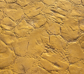 Yellow paving stones as a background.