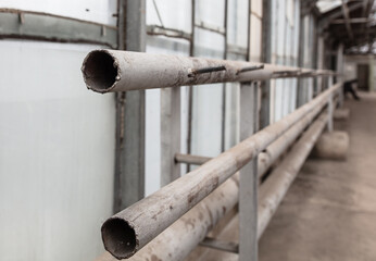 Metal frames inside the greenhouse.