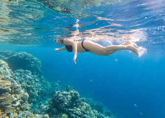 The girl swims underwater in the sea.
