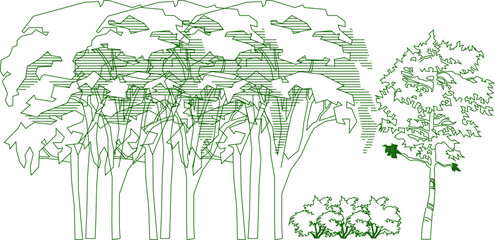 Vector sketch of collection of green trees