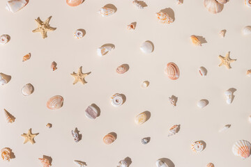 Seashells and starfish with shadows on beige pastel background at sunlight. Summer vacation concept. Nautical pattern. Minimal flat lay with natural shells, sea stars, stones, sea life theme