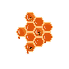 Honeycomb on white background.
