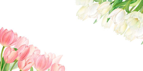 Watercolour illustration of two beautiful bouquets of pink and white tulips in the corners. Perfectly hand-drawn on a white background.