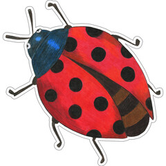 Obraz premium Hand Drawn Colorful Ladybug Sticker Isolated on White Background. Insect Illustration Drawn by Colored Pencil. Hand Drawn Ladybug Clipart.