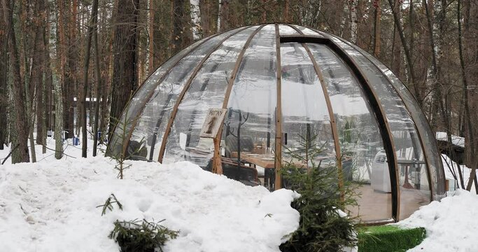 Igloo made of transparent plastic designed for recreation are placed in a pine forest. Siberia. Hand held. The camera is moving.