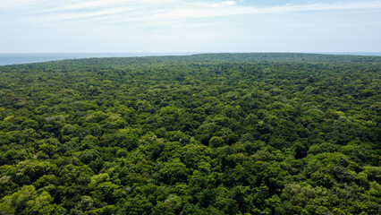 Fototapeta na wymiar Aerial landscape view of vast tree filled forest on remote, uninhabited tropical island of Jaco Island in Timor Leste, Southeast Asia 