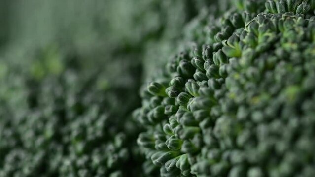 Macro broccoli head rotating over black background. Fresh broccoli cabbage rotating closeup.