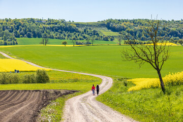 Rural sunny landscape with people walking on a gravel road